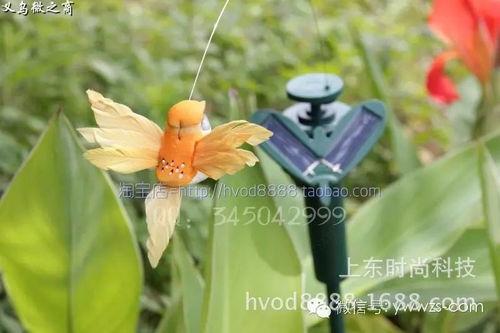 太陽(yáng)能蝴蝶與蜂鳥 義烏直銷點(diǎn)亮戶外裝飾與創(chuàng)意禮品新潮流