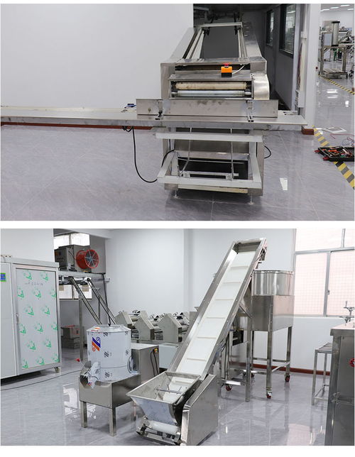 重慶食品加工與健康康復(fù)設(shè)備 面條生產(chǎn)與物理治療的現(xiàn)代化融合